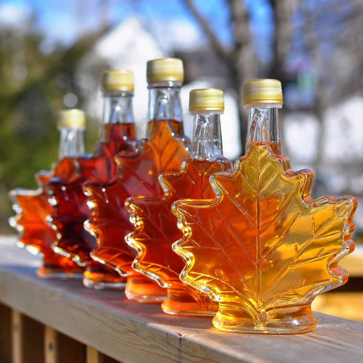 Faxon Farms Pure Maple Syrup