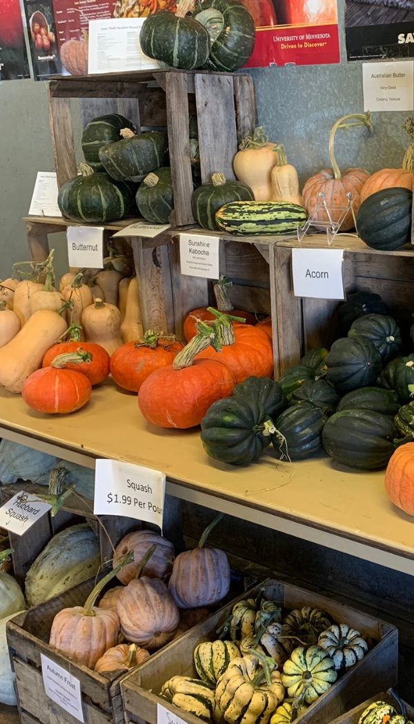 AH pumpkin display