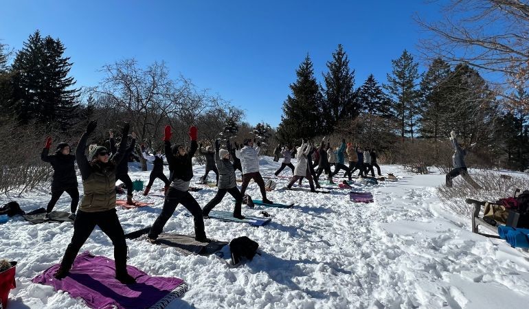 People doing yoga in the snow