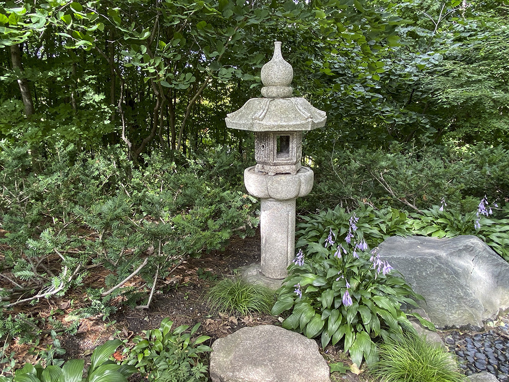 Pedestal lantern with hostas