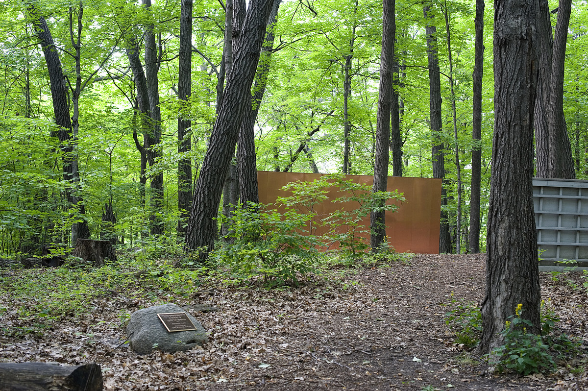 Forest Transformation Wall with trees