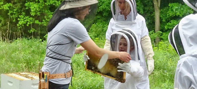 Bee Hive opening, photo by Laura Cogswell