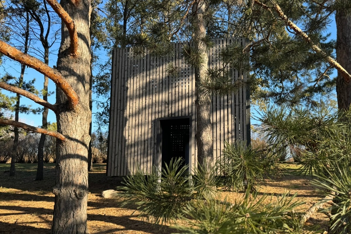 Pine CONE structure