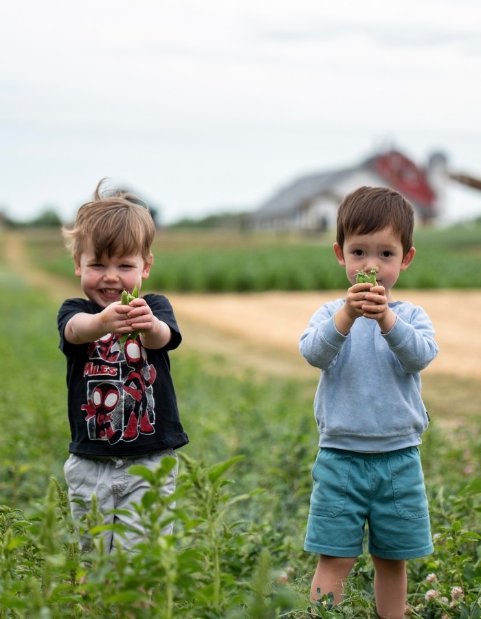 Two boys holding soybeans in the field