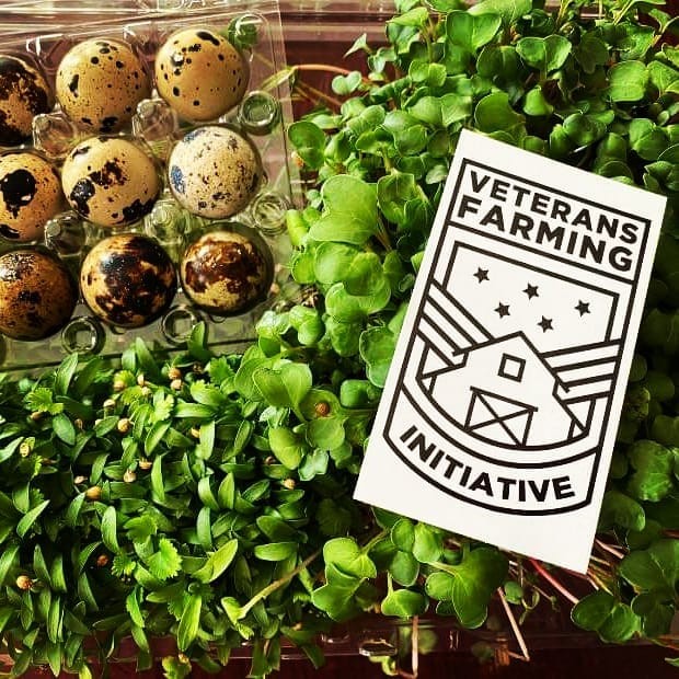 Veterans Farming Initiative