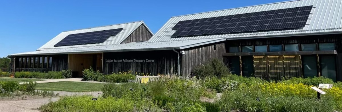 Bee center with solar panels