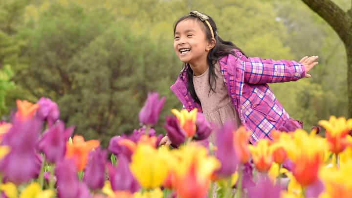 Girl in purple coat running through the tulips