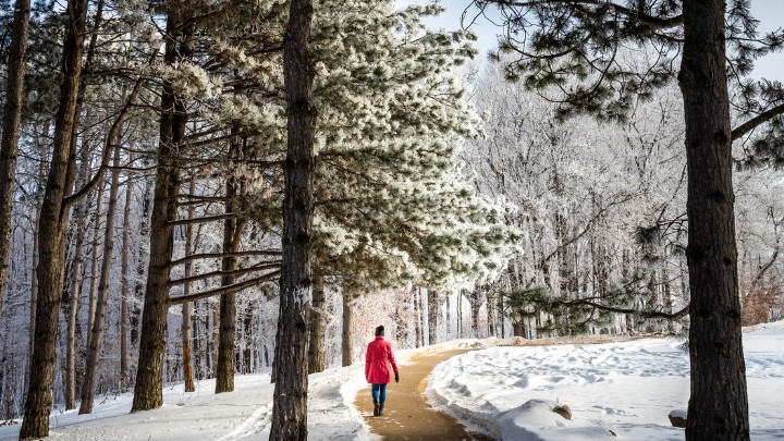 Woman in red jacket walking through snowy trees